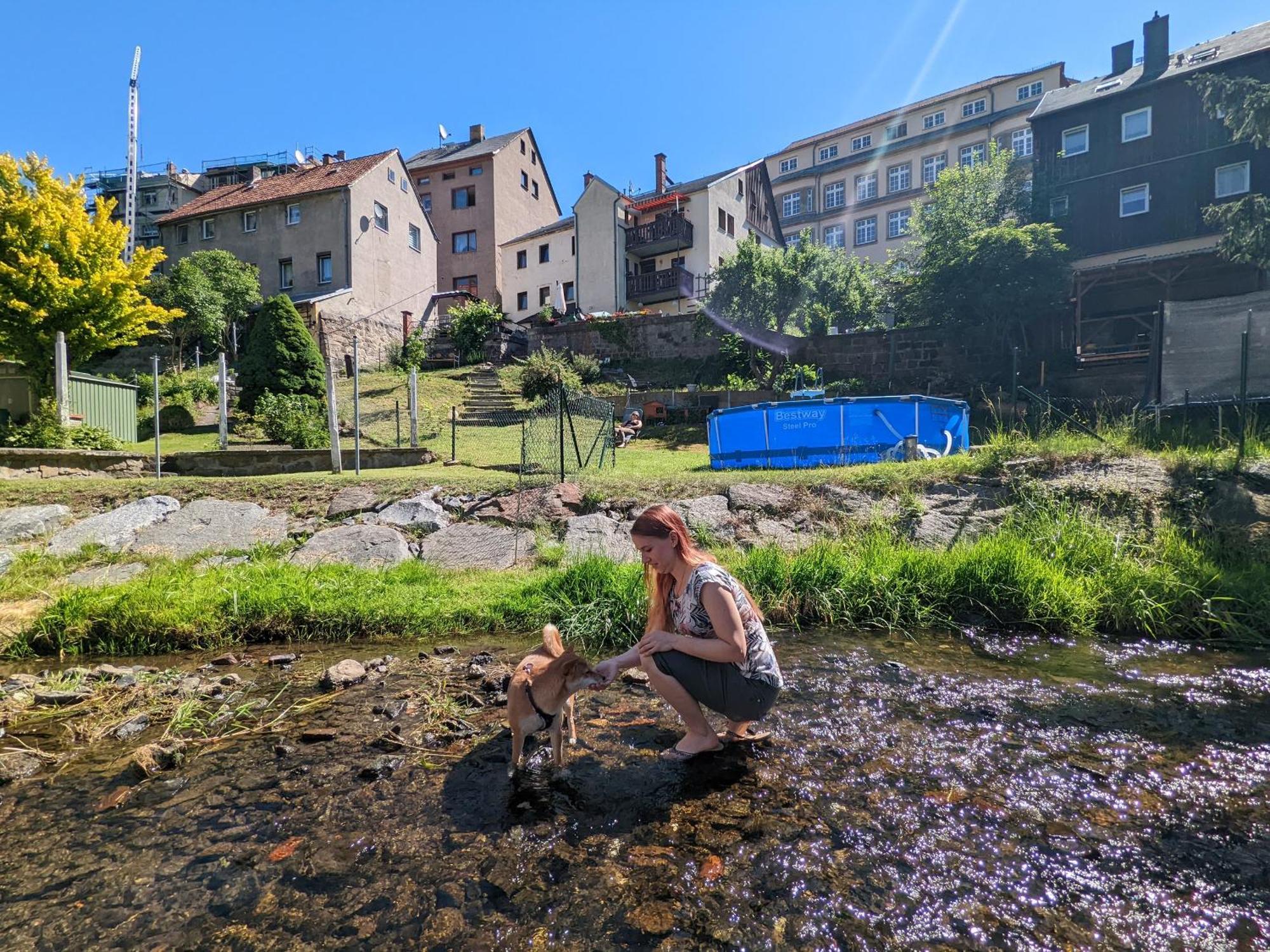 F1 - Urlaubsmagie - Helle Wohnung Mit Sauna & Pool & Whirlpool Sebnitz Ngoại thất bức ảnh