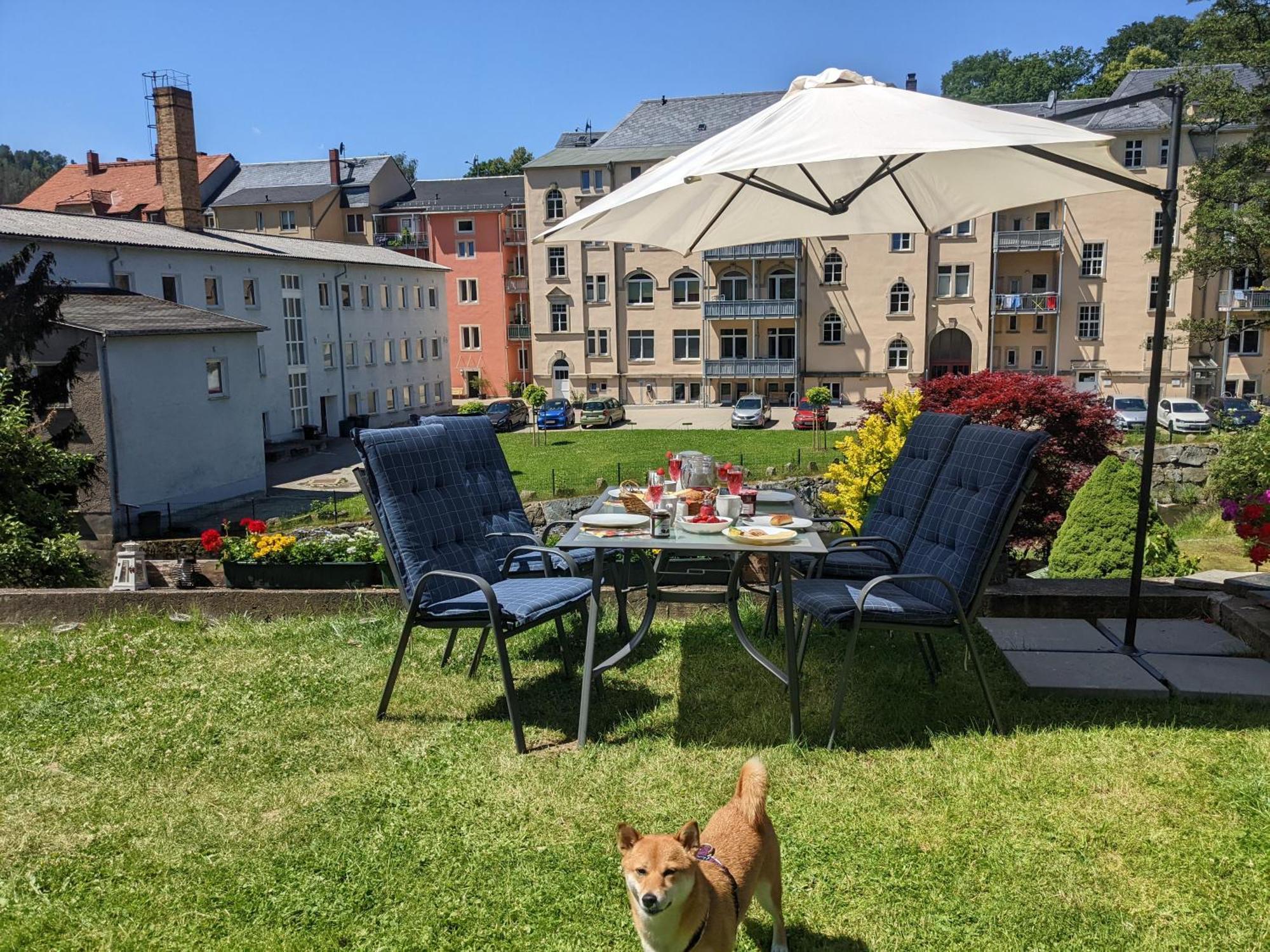 F1 - Urlaubsmagie - Helle Wohnung Mit Sauna & Pool & Whirlpool Sebnitz Ngoại thất bức ảnh