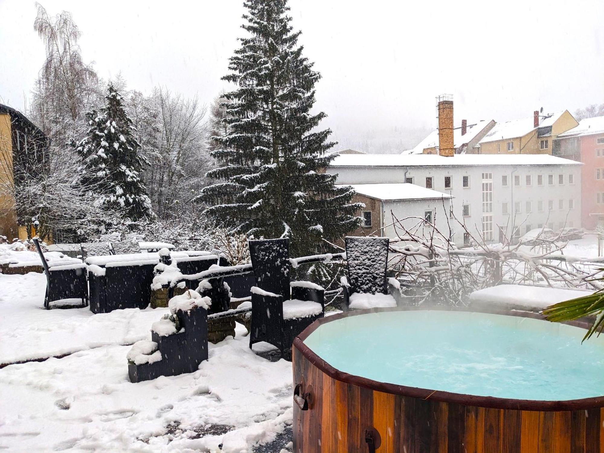 F1 - Urlaubsmagie - Helle Wohnung Mit Sauna & Pool & Whirlpool Sebnitz Ngoại thất bức ảnh
