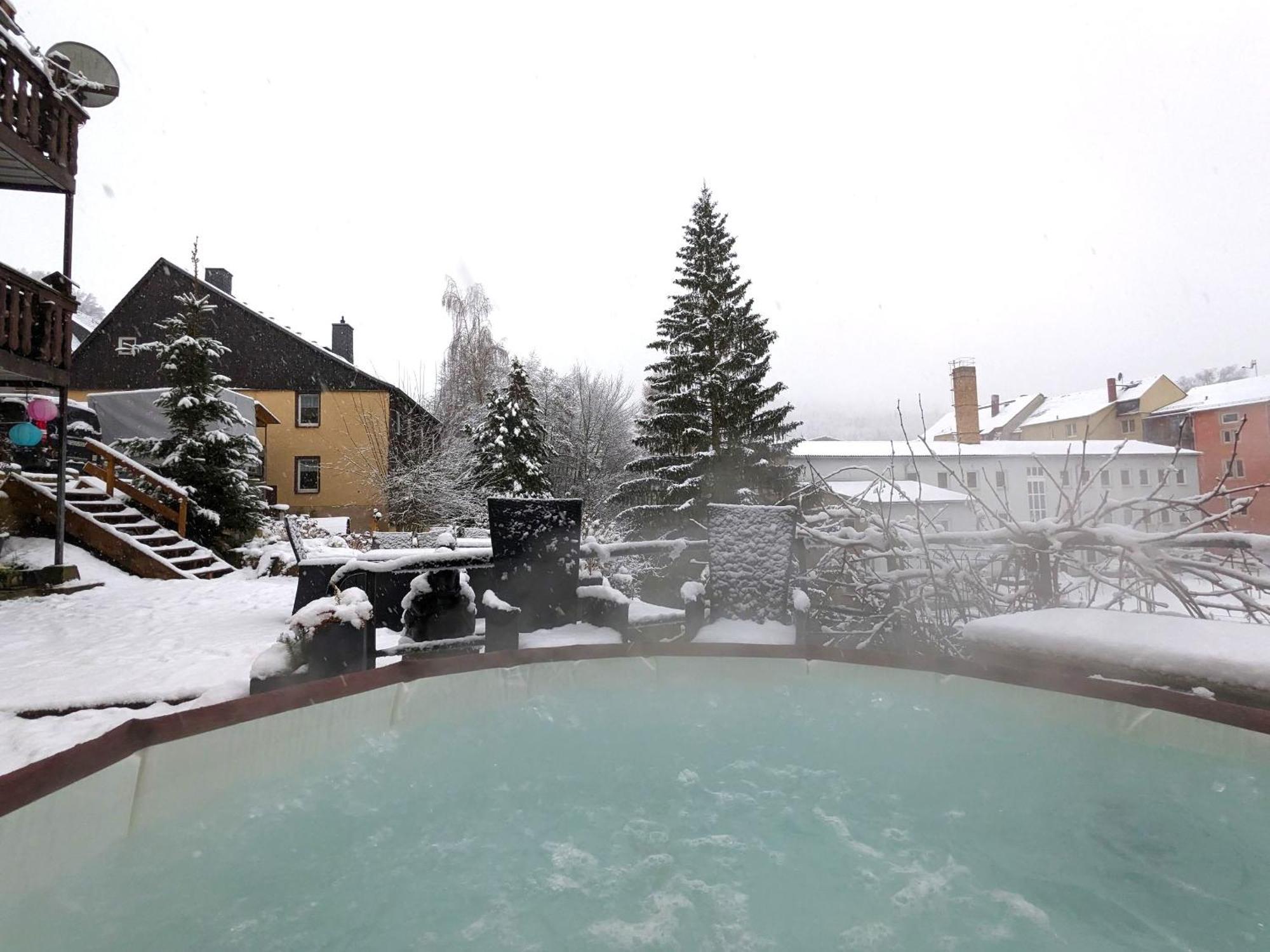 F1 - Urlaubsmagie - Helle Wohnung Mit Sauna & Pool & Whirlpool Sebnitz Ngoại thất bức ảnh