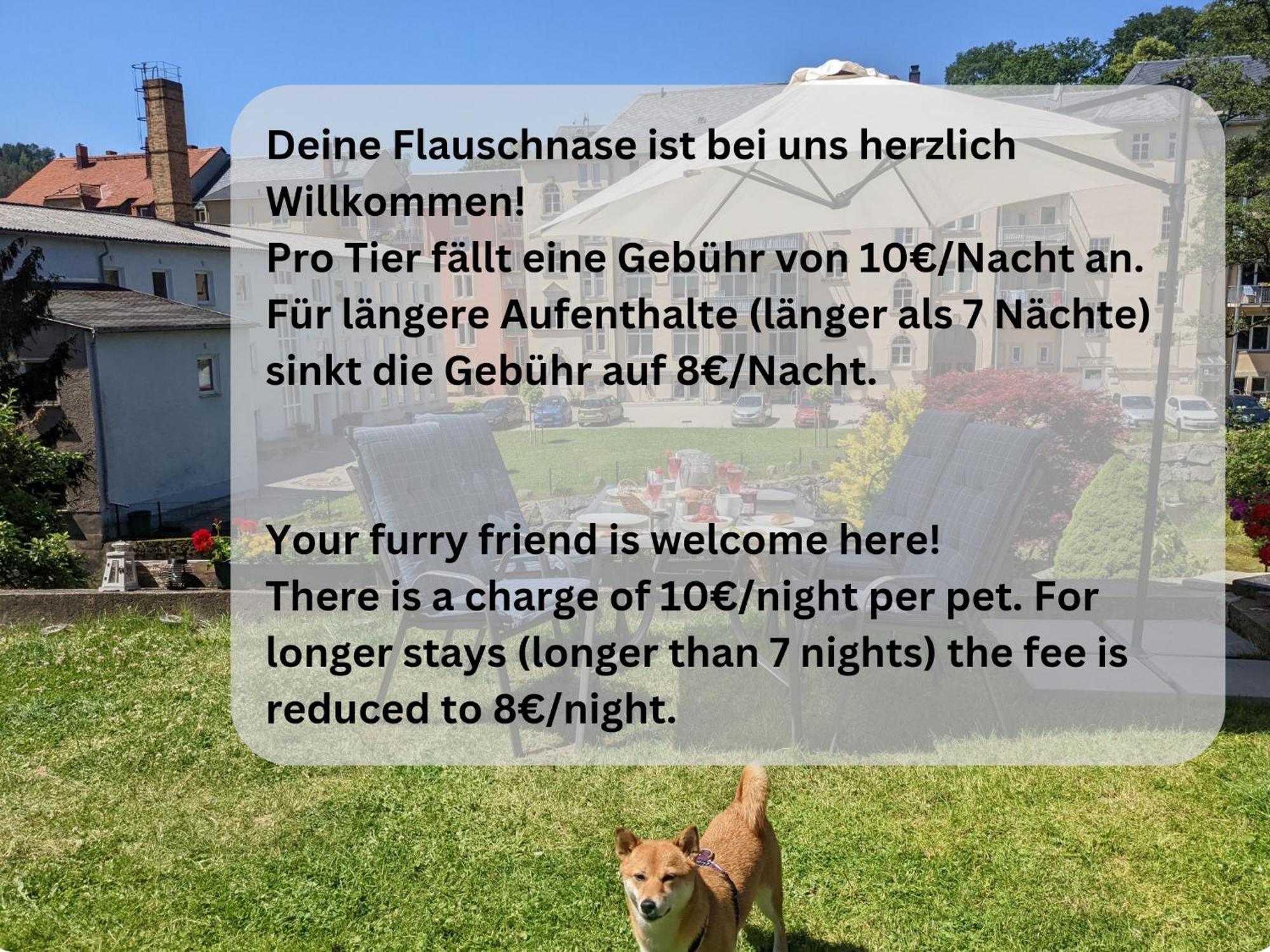 F1 - Urlaubsmagie - Helle Wohnung Mit Sauna & Pool & Whirlpool Sebnitz Ngoại thất bức ảnh
