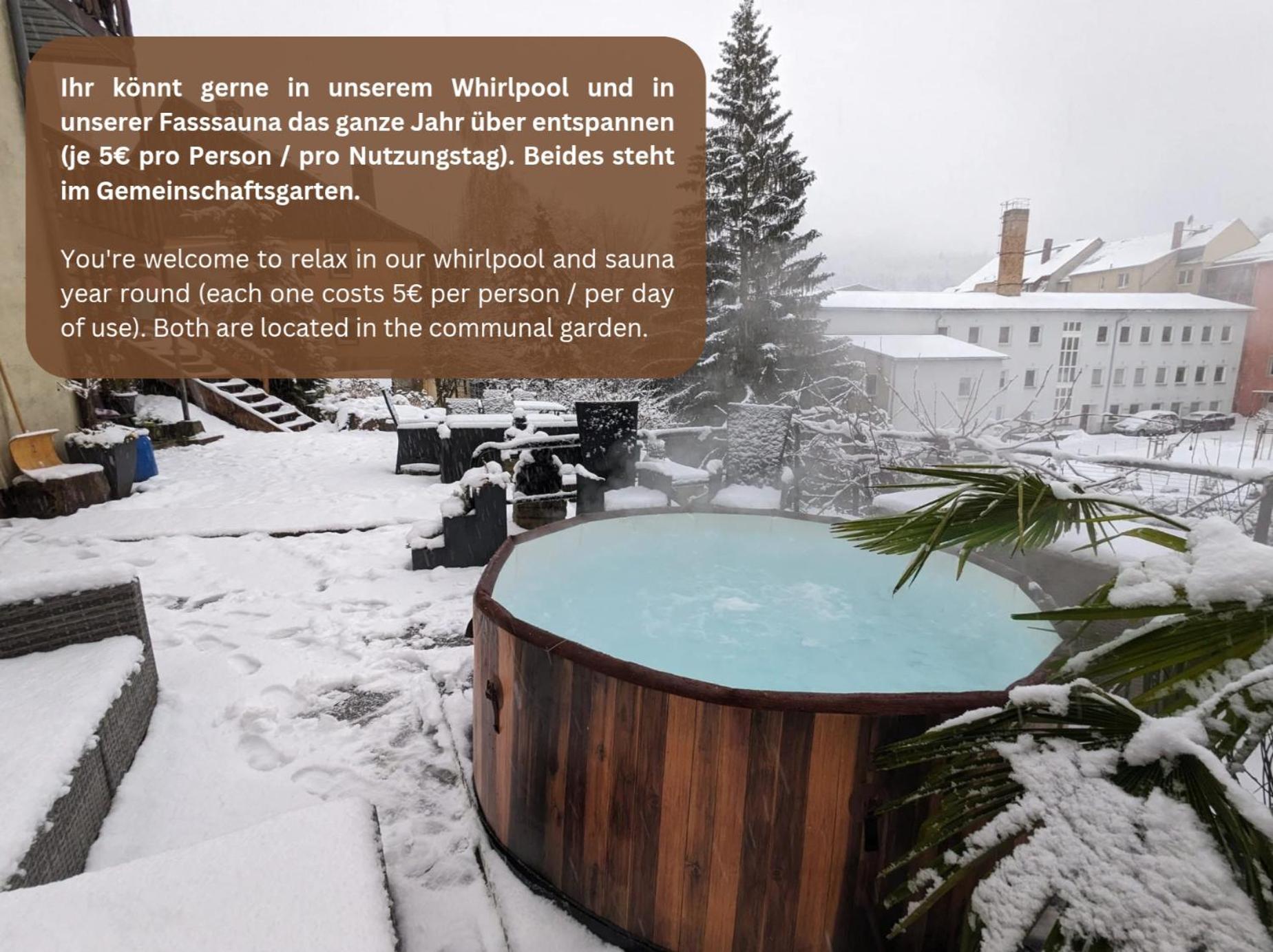 F1 - Urlaubsmagie - Helle Wohnung Mit Sauna & Pool & Whirlpool Sebnitz Ngoại thất bức ảnh